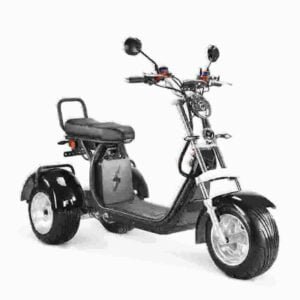 2024 Citycoco Chopper Scooter fabrik