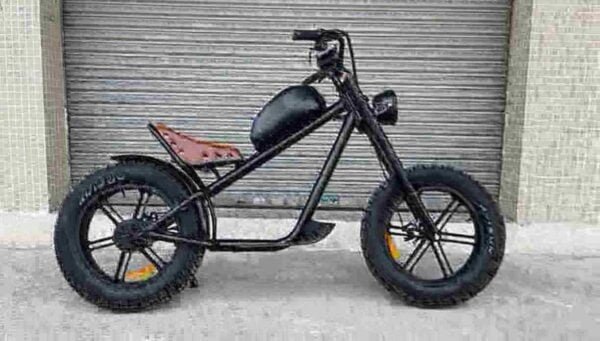 48V Dirt Bike fabrik