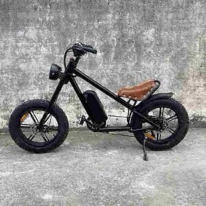 750 Watt elektrisk Fat Tire Bike fabrik