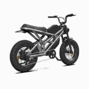 750w Fat Bike fabrik