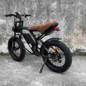 Batteri Dirt Bike För Vuxna fabrik