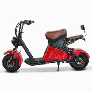 Citycoco Chopper 2000w fabrik