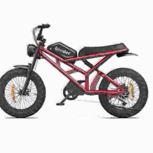 Ebike 1000w fabrik