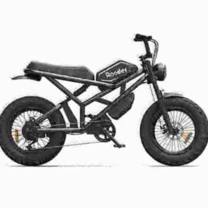 Ebike Fat Bike fabrik