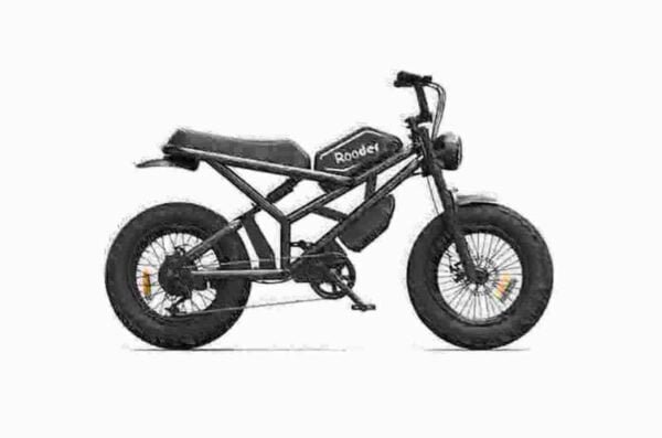 Ebike Fat Bike fabrik