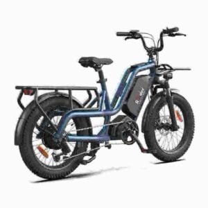 Ebike Fat Tire fabrik