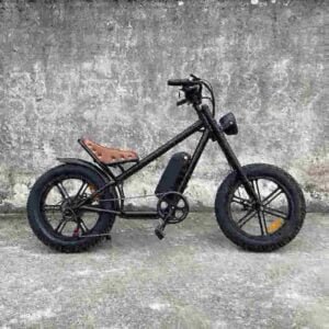 Elektrisk Fat Bike till salu fabrik