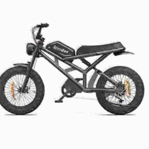 Elektriska Fat Tire Ebikes fabrik