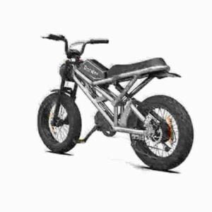 Fat Bike Electric Cycle fabrik