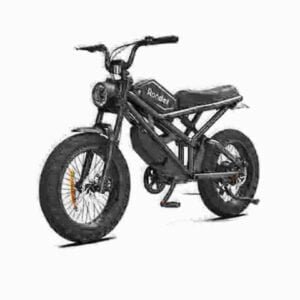 Fat Tire Commuter Ebike fabrik