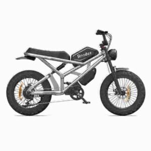 Fat Tire Ebike Rea fabrik