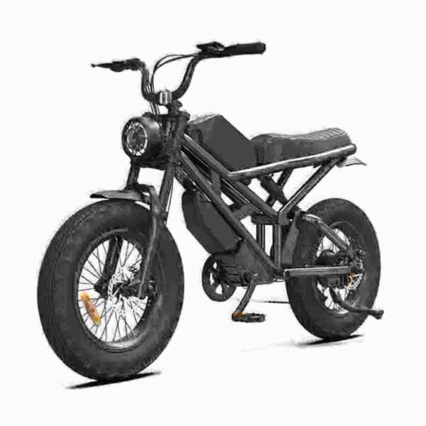 Fat Tire Elcykel 750w fabrik