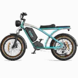 Fat Tire Bike Electric fabrik