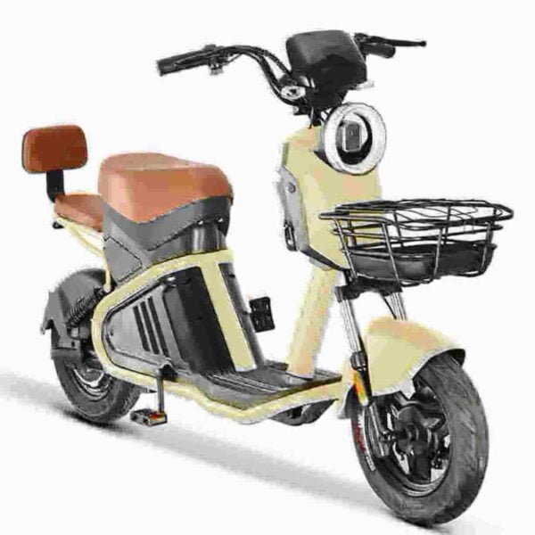 Rooder citycoco Citycoco elektrisk skoter fabrik