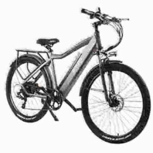 Top Fat Tire Ebikes fabrik